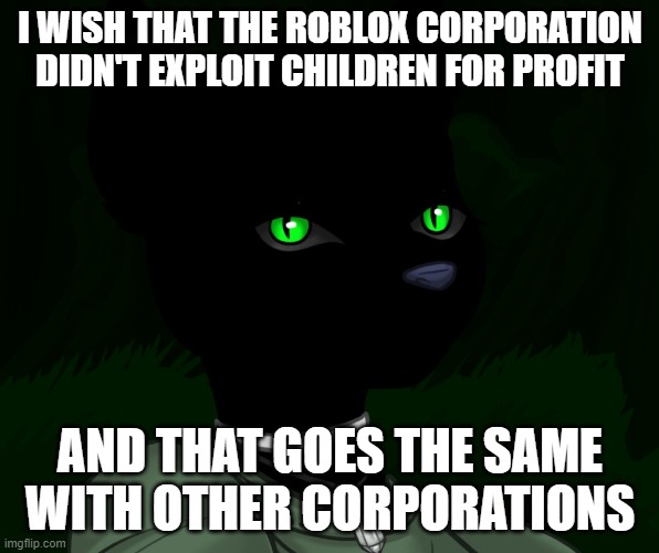 My new panther fursona | I WISH THAT THE ROBLOX CORPORATION DIDN'T EXPLOIT CHILDREN FOR PROFIT; AND THAT GOES THE SAME WITH OTHER CORPORATIONS | image tagged in my new panther fursona | made w/ Imgflip meme maker