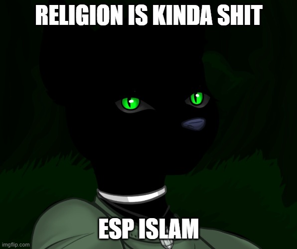 My new panther fursona | RELIGION IS KINDA SHIT; ESP ISLAM | image tagged in my new panther fursona | made w/ Imgflip meme maker
