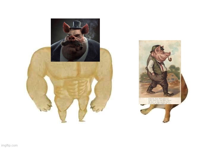 doge then and now | image tagged in doge then and now | made w/ Imgflip meme maker