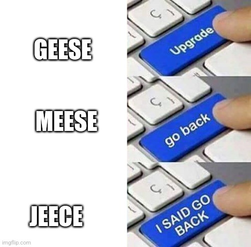 I SAID GO BACK | JEECE GEESE MEESE | image tagged in i said go back | made w/ Imgflip meme maker