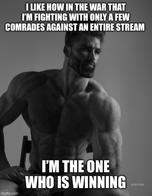 True | I LIKE HOW IN THE WAR THAT I’M FIGHTING WITH ONLY A FEW COMRADES AGAINST AN ENTIRE STREAM; I’M THE ONE WHO IS WINNING | image tagged in giga chad | made w/ Imgflip meme maker