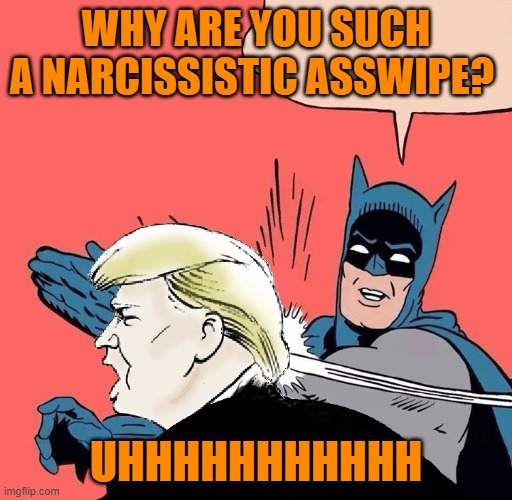 Batman slaps Trump | WHY ARE YOU SUCH A NARCISSISTIC ASSWIPE? UHHHHHHHHHHH | image tagged in batman slaps trump | made w/ Imgflip meme maker