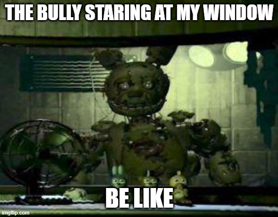 my bully | THE BULLY STARING AT MY WINDOW; BE LIKE | image tagged in fnaf springtrap in window | made w/ Imgflip meme maker