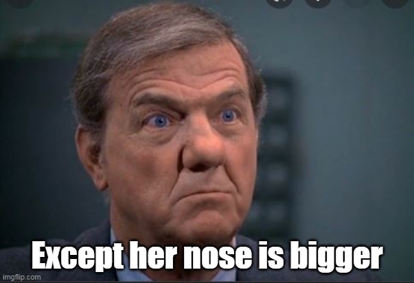 Except her nose is bigger | made w/ Imgflip meme maker