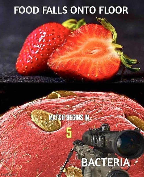 5...4...3...2... oh shit he picked it up | image tagged in memes,unfunny | made w/ Imgflip meme maker