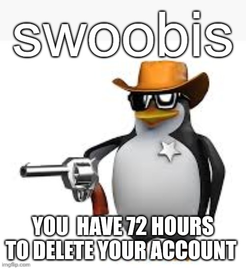 Swoobis | YOU  HAVE 72 HOURS TO DELETE YOUR ACCOUNT | image tagged in swoobis | made w/ Imgflip meme maker