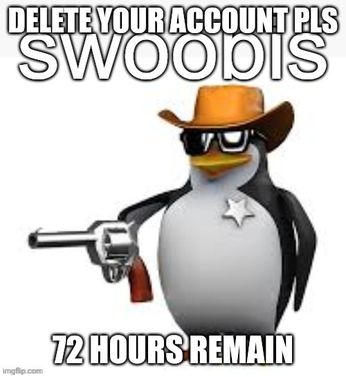Swoobis | DELETE YOUR ACCOUNT PLS 72 HOURS REMAIN | image tagged in swoobis | made w/ Imgflip meme maker