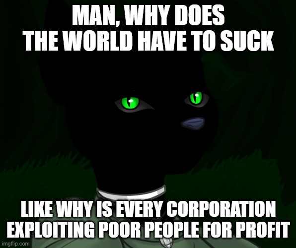 My new panther fursona | MAN, WHY DOES THE WORLD HAVE TO SUCK; LIKE WHY IS EVERY CORPORATION EXPLOITING POOR PEOPLE FOR PROFIT | image tagged in my new panther fursona | made w/ Imgflip meme maker