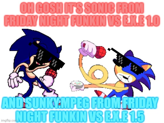 Funky Meme | OH GOSH IT'S SONIC FROM FRIDAY NIGHT FUNKIN VS E.X.E 1.0; AND SUNKY.MPEG FROM FRIDAY NIGHT FUNKIN VS E.X.E 1.5 | image tagged in sunky and sonic exe | made w/ Imgflip meme maker