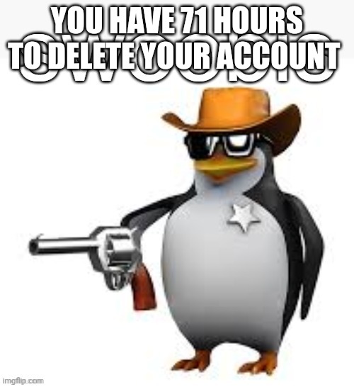 Swoobis | YOU HAVE 71 HOURS TO DELETE YOUR ACCOUNT | image tagged in swoobis | made w/ Imgflip meme maker