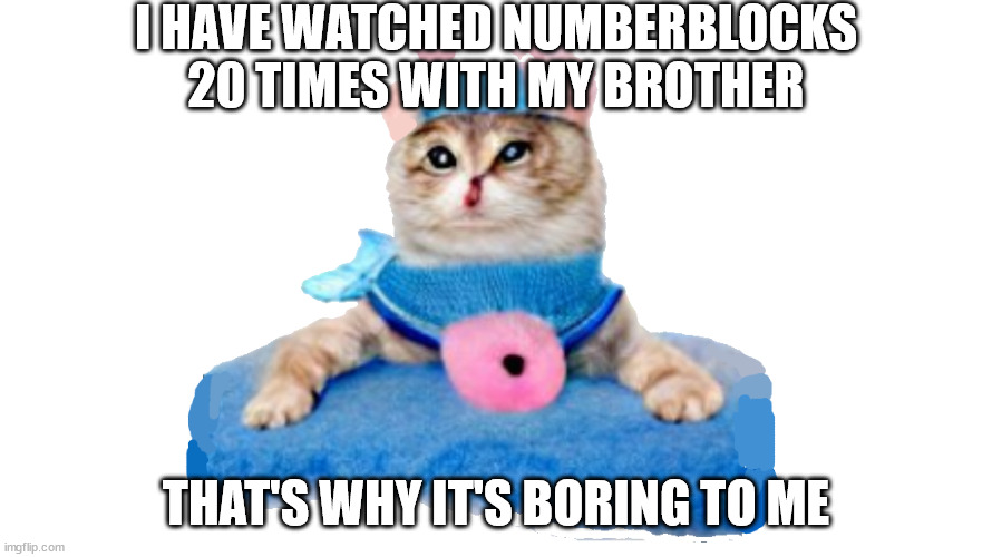 he really likes numberblocks | I HAVE WATCHED NUMBERBLOCKS 20 TIMES WITH MY BROTHER; THAT'S WHY IT'S BORING TO ME | image tagged in kitty on drugs | made w/ Imgflip meme maker