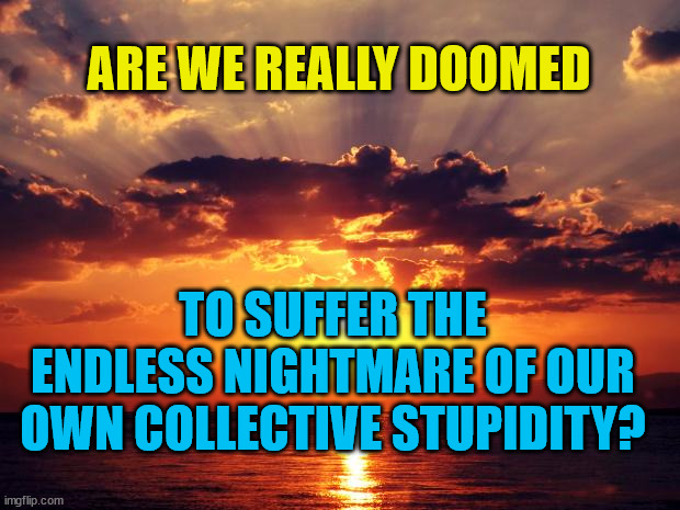 Sunset |  ARE WE REALLY DOOMED; TO SUFFER THE ENDLESS NIGHTMARE OF OUR OWN COLLECTIVE STUPIDITY? | image tagged in sunset | made w/ Imgflip meme maker