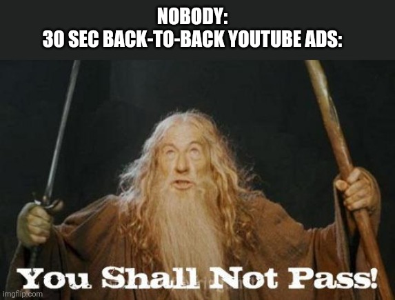 YouTube .... | NOBODY: 

30 SEC BACK-TO-BACK YOUTUBE ADS: | image tagged in gandalf you shall not pass | made w/ Imgflip meme maker