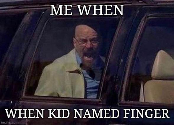 Walter White Screaming At Hank | ME WHEN; WHEN KID NAMED FINGER | image tagged in walter white screaming at hank | made w/ Imgflip meme maker