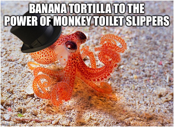 Sir octopus | BANANA TORTILLA TO THE POWER OF MONKEY TOILET SLIPPERS | image tagged in sir octopus | made w/ Imgflip meme maker