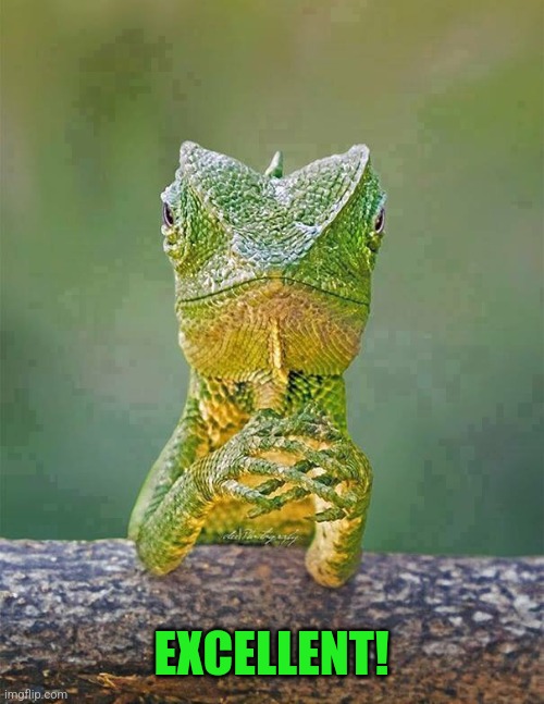 Sarcastic Lizard | EXCELLENT! | image tagged in sarcastic lizard | made w/ Imgflip meme maker