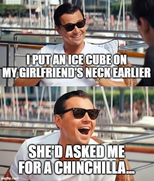 Leonardo Dicaprio Wolf Of Wall Street | I PUT AN ICE CUBE ON MY GIRLFRIEND'S NECK EARLIER; SHE'D ASKED ME FOR A CHINCHILLA... | image tagged in memes,leonardo dicaprio wolf of wall street | made w/ Imgflip meme maker