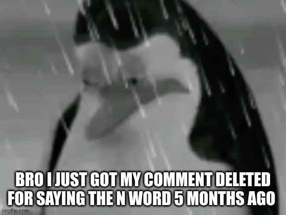 the sad | BRO I JUST GOT MY COMMENT DELETED FOR SAYING THE N WORD 5 MONTHS AGO | image tagged in the sad | made w/ Imgflip meme maker