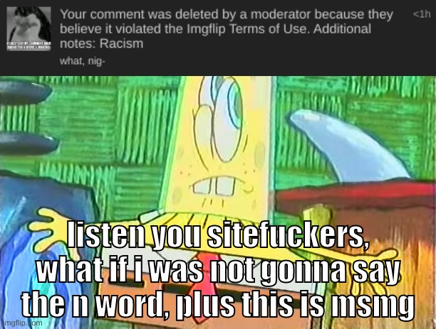 and i dont even hate black people, i only really do this since its a recurring joke here | listen you sitefuckers, what if i was not gonna say the n word, plus this is msmg | image tagged in memes,funny,glassbob,bruh moment,n word,sitemods | made w/ Imgflip meme maker