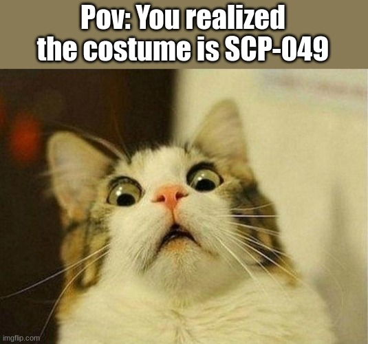 I noticed it | Pov: You realized the costume is SCP-049 | image tagged in memes,scared cat | made w/ Imgflip meme maker