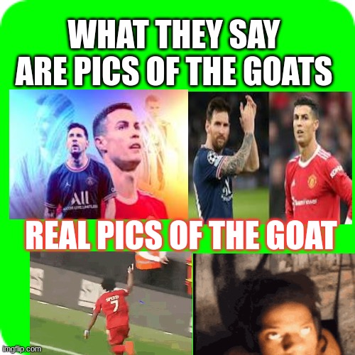 The goat | WHAT THEY SAY ARE PICS OF THE GOATS; REAL PICS OF THE GOAT | image tagged in memes | made w/ Imgflip meme maker