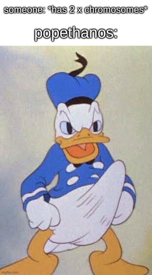 Horny Donald Duck | someone: *has 2 x chromosomes*; popethanos: | image tagged in horny donald duck | made w/ Imgflip meme maker