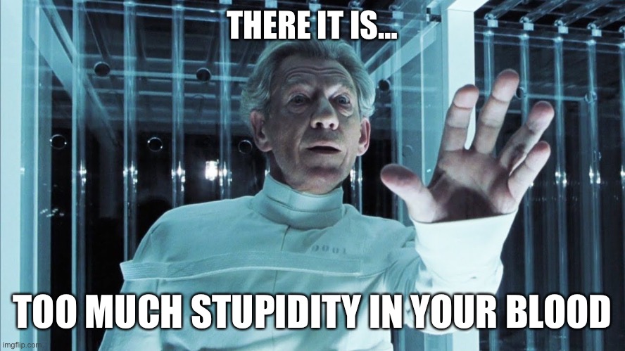 Too much stupidity |  THERE IT IS…; TOO MUCH STUPIDITY IN YOUR BLOOD | image tagged in magneto,x-men,prison | made w/ Imgflip meme maker