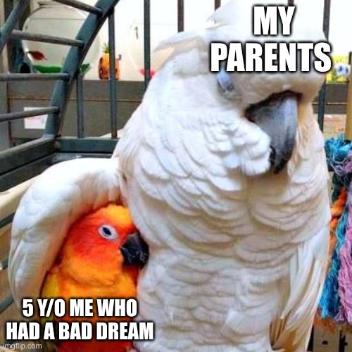 Cockatoo hugging Sun Conure | MY PARENTS; 5 Y/O ME WHO HAD A BAD DREAM | image tagged in cockatoo hugging sun conure | made w/ Imgflip meme maker