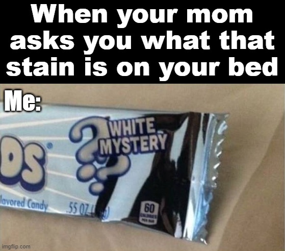 When your mom asks you what that stain is on your bed; Me: | image tagged in stain | made w/ Imgflip meme maker