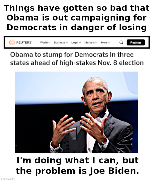 Things Have Now Gotten So Bad For Democrats | image tagged in obama,democrats,campaign,midterms,losers | made w/ Imgflip meme maker
