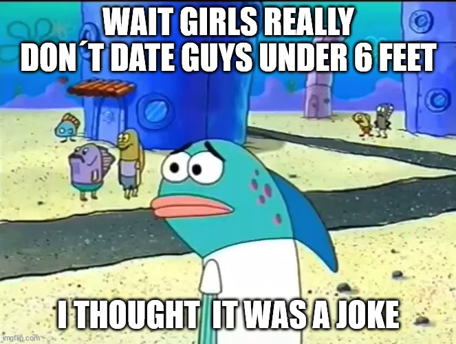 Wait I thought it was a joke | WAIT GIRLS REALLY DON´T DATE GUYS UNDER 6 FEET; I THOUGHT  IT WAS A JOKE | image tagged in wait i thought it was a joke,memes | made w/ Imgflip meme maker
