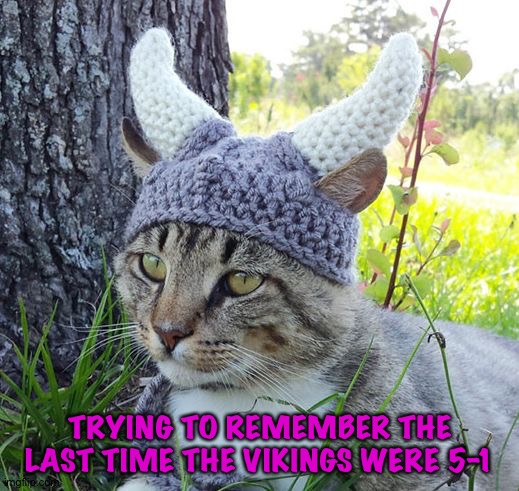 Been a few years | TRYING TO REMEMBER THE LAST TIME THE VIKINGS WERE 5-1 | image tagged in viking cat crochete hat | made w/ Imgflip meme maker