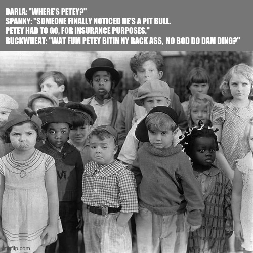 our gang | DARLA: "WHERE'S PETEY?"

SPANKY: "SOMEONE FINALLY NOTICED HE'S A PIT BULL.
PETEY HAD TO GO, FOR INSURANCE PURPOSES."

BUCKWHEAT: "WAT FUM PETEY BITIN NY BACK ASS,  NO BOD DO DAM DING?" | image tagged in little rascals | made w/ Imgflip meme maker