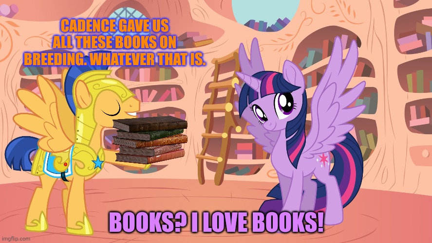 Clueless in ponyville | CADENCE GAVE US ALL THESE BOOKS ON BREEDING. WHATEVER THAT IS. BOOKS? I LOVE BOOKS! | image tagged in mlp library,clueless,in ponyville,flash sentry,twilight sparkle | made w/ Imgflip meme maker