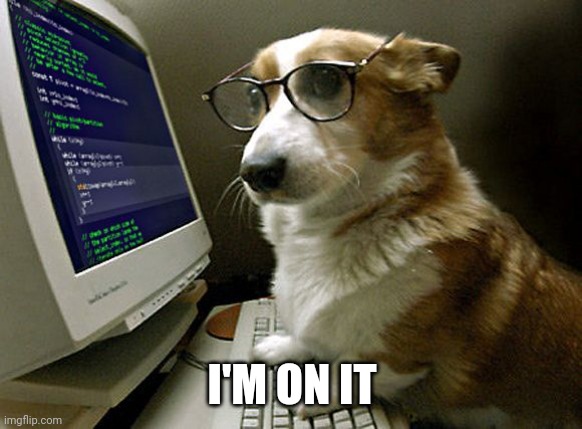 corgi hacker | I'M ON IT | image tagged in corgi hacker | made w/ Imgflip meme maker