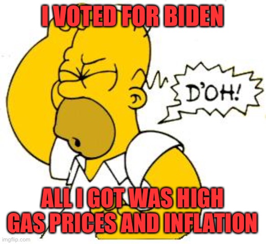 This election, do something meaningful. Remove Every Democrat. Vote RED! | I VOTED FOR BIDEN; ALL I GOT WAS HIGH GAS PRICES AND INFLATION | image tagged in homer doh,biden,inflation,high gas prices,vote red,remove every democrat | made w/ Imgflip meme maker