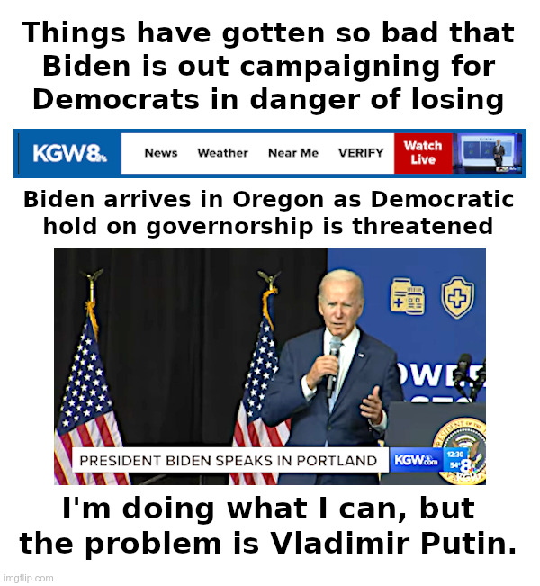 Things Have Now Gotten So Bad For Democrats | image tagged in joe biden,democrats,campaign,midterms,losers | made w/ Imgflip meme maker