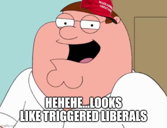 HEHEHE...LOOKS LIKE TRIGGERED LIBERALS | made w/ Imgflip meme maker