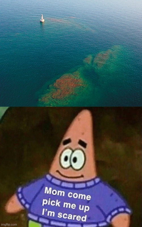 f**k naw ☠ | made w/ Imgflip meme maker