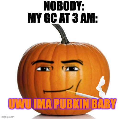 pumpkin | NOBODY: MY GC AT 3 AM: UWU IMA PUBKIN BABY | image tagged in pumpkin | made w/ Imgflip meme maker
