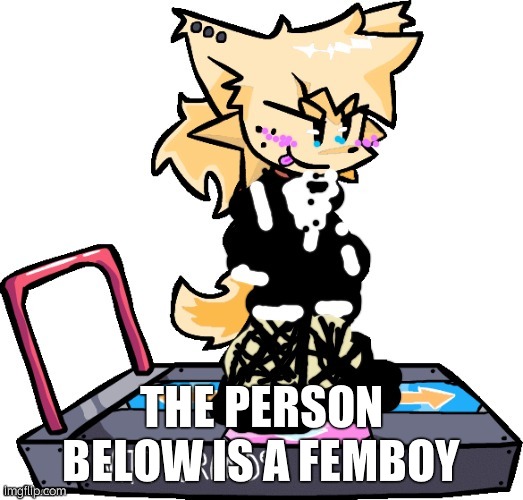 THE PERSON BELOW IS A FEMBOY | image tagged in theonlyrandomdoggo in maid dress | made w/ Imgflip meme maker