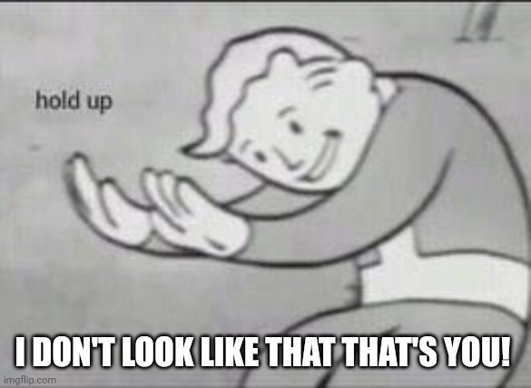 Fallout Hold Up | I DON'T LOOK LIKE THAT THAT'S YOU! | image tagged in fallout hold up | made w/ Imgflip meme maker