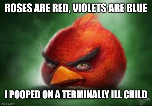 Angry Bird 4 | ROSES ARE RED, VIOLETS ARE BLUE; I POOPED ON A TERMINALLY ILL CHILD | image tagged in angry birds,angry bird,funny memes,memes,funny | made w/ Imgflip meme maker