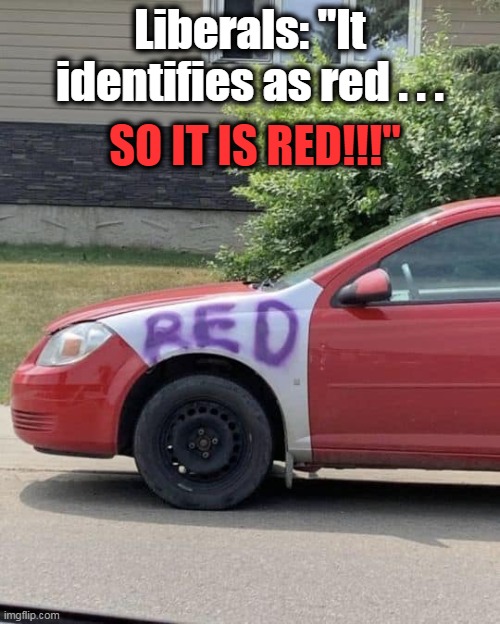 Liberals want us to believe total lunacy. | Liberals: "It identifies as red . . . SO IT IS RED!!!" | image tagged in identifies as equals pretends to be,men vs women,transgender,lies,wicked | made w/ Imgflip meme maker