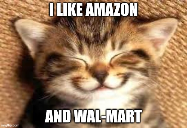 Happy cat | I LIKE AMAZON; AND WAL-MART | image tagged in happy cat | made w/ Imgflip meme maker