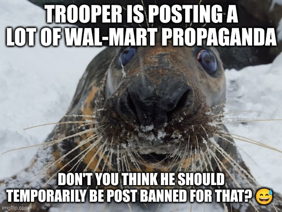 his name's bim bim | TROOPER IS POSTING A LOT OF WAL-MART PROPAGANDA; DON'T YOU THINK HE SHOULD TEMPORARILY BE POST BANNED FOR THAT? 😅 | image tagged in his name's bim bim | made w/ Imgflip meme maker