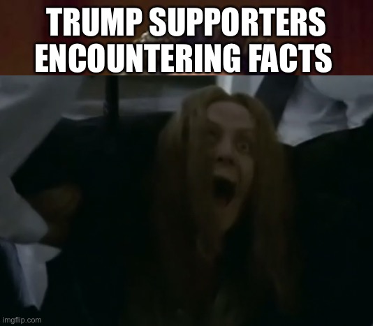 TRUMP SUPPORTERS ENCOUNTERING FACTS | made w/ Imgflip meme maker