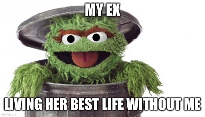 My ex | MY EX; LIVING HER BEST LIFE WITHOUT ME | image tagged in oscar trashcan sesame street,living,best life | made w/ Imgflip meme maker