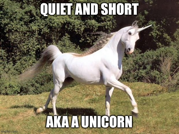 Unicorns | QUIET AND SHORT; AKA A UNICORN | image tagged in unicorns | made w/ Imgflip meme maker