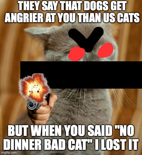angry cat | THEY SAY THAT DOGS GET ANGRIER AT YOU THAN US CATS; BUT WHEN YOU SAID "NO DINNER BAD CAT" I LOST IT | image tagged in more dumb cat | made w/ Imgflip meme maker